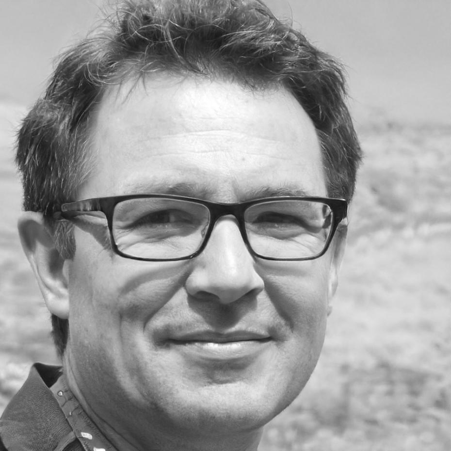 Ritratto professionale di Davide Torelli